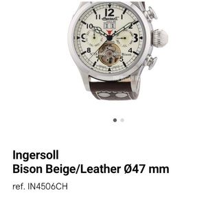 Bison movement powered watch